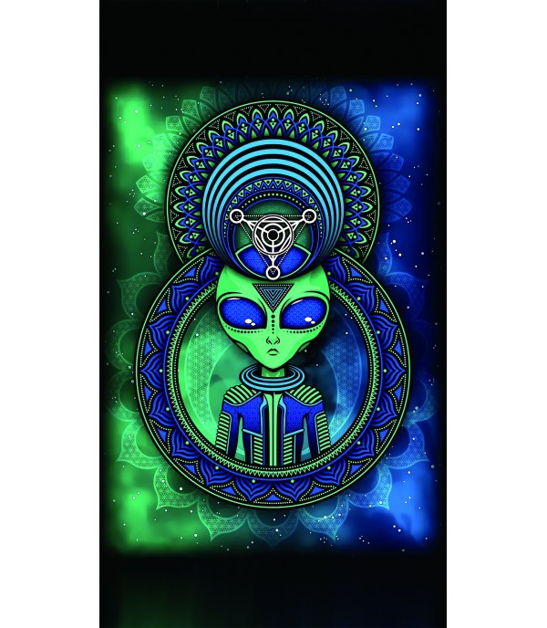 9" 3D Тисненая пленка для задней поверхности корпуса с рисунком FR-0043 (120*180mm)