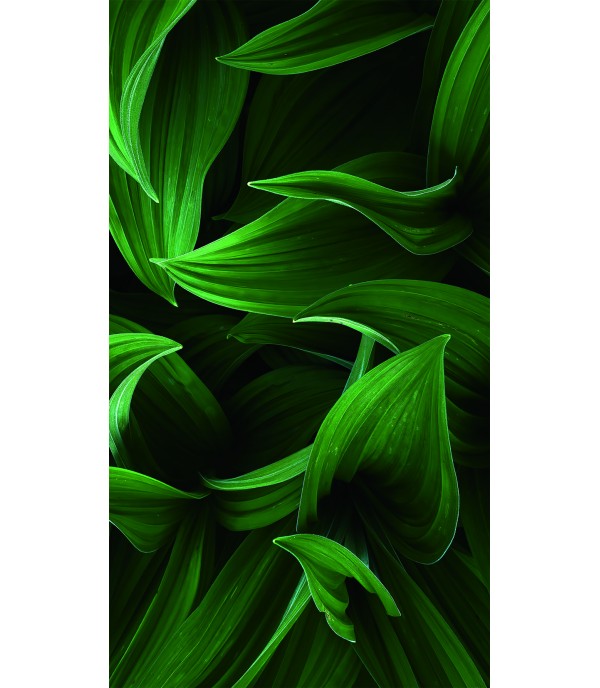 9" 3D Тисненая пленка для задней поверхности корпуса с рисунком FR-0096 (120*180mm)